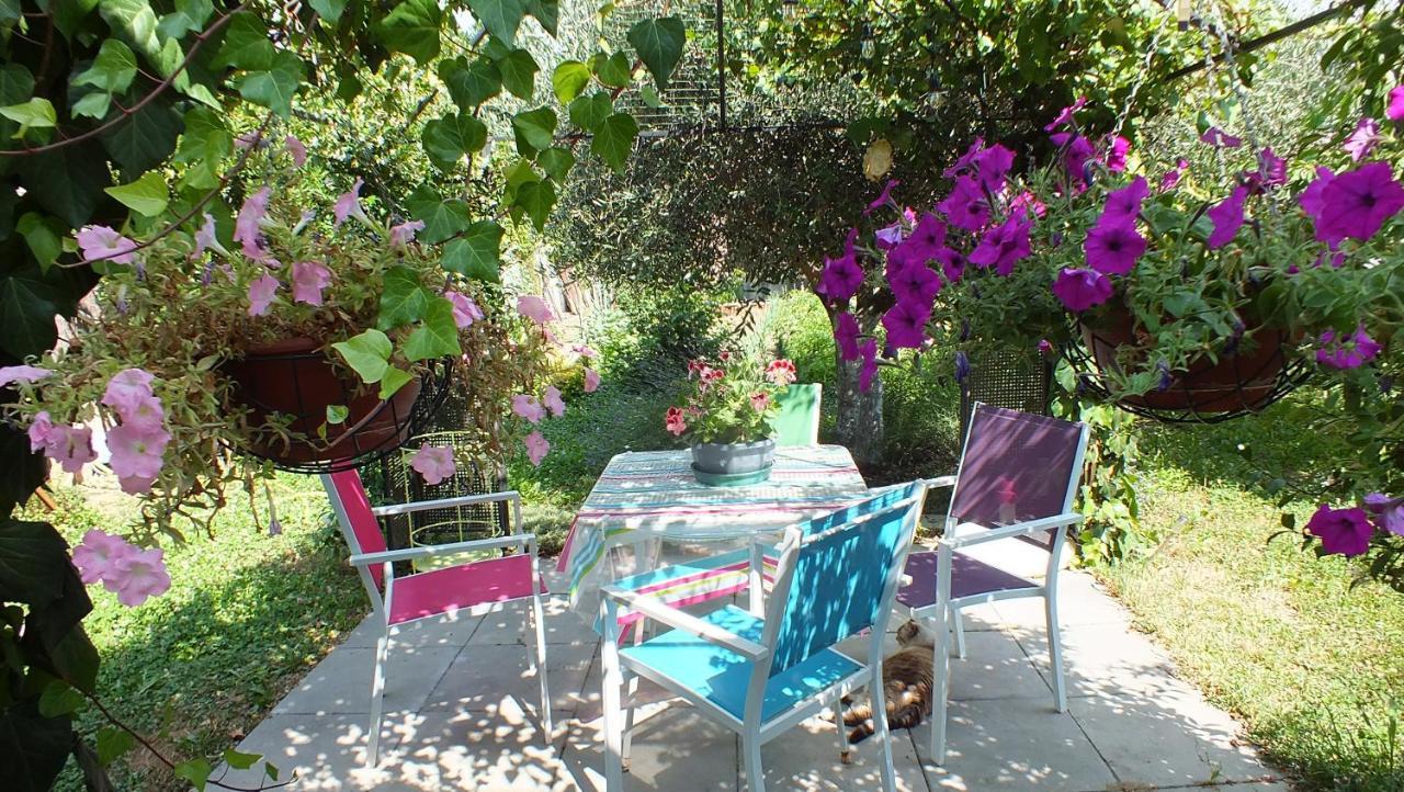 La Maison Sous L'Olivier Villa Morieres-les-Avignon Eksteriør bilde