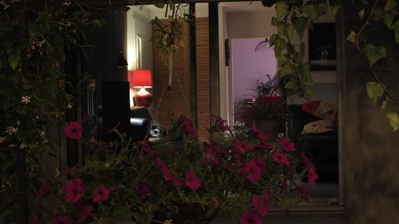 La Maison Sous L'Olivier Villa Morieres-les-Avignon Eksteriør bilde