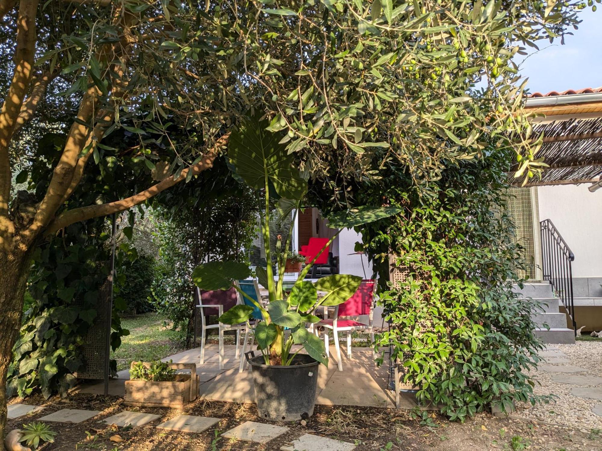La Maison Sous L'Olivier Villa Morieres-les-Avignon Eksteriør bilde